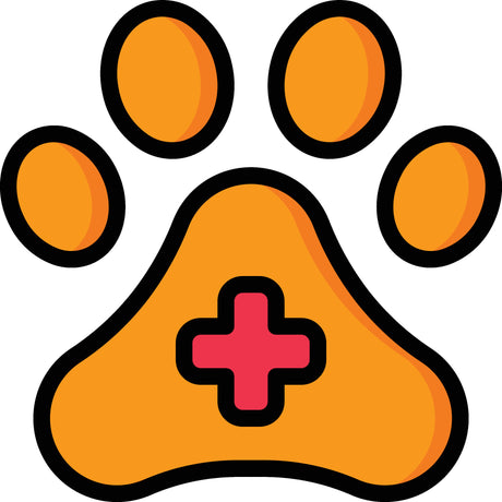 First Aid Tips for Pet Owners: How to Handle Emergencies with Your Pets - Zoo Bestie Online Shop