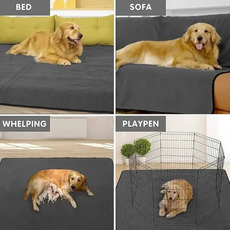 2021 New Waterproof Reusable Dog Bed Mats Dog Urine Pad Puppy Pee Fast Absorbing Pad Rug for Pet Sleep Soft Carpet Blanket - Zoo Bestie Online Shop