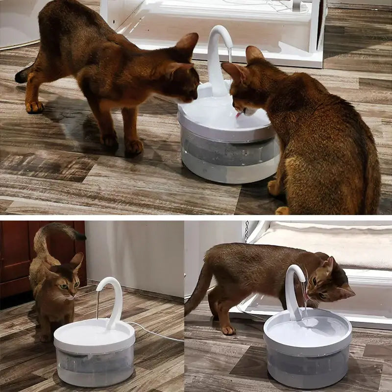 3.5L Smart Pet Feeder & Fountain | WiFi Auto Cat & Dog Dispenser - Dog automatic feeders