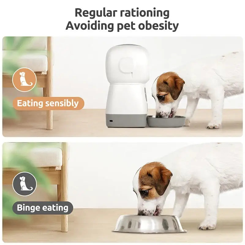 3.5L Smart Pet Feeder & Fountain | WiFi Auto Cat & Dog Dispenser - Dog automatic feeders