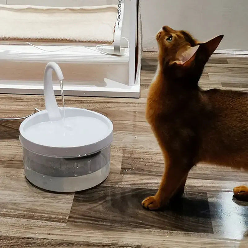 3.5L Smart Pet Feeder & Fountain | WiFi Auto Cat & Dog Dispenser - Dog automatic feeders