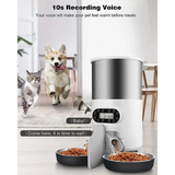 3L/4.5L Automatic Cats Dispenser Smart Cat Dog Food Feeder Single/Dual Stainless Steel Bowls Pets Timer Feeding For Dry Foods - Zoo Bestie Online Shop