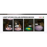 6-in-1 LED Dog Lights: Waterproof, Stylish, and Perfect for Night Walks! 🐾💡 - Zoo Bestie Online Shop