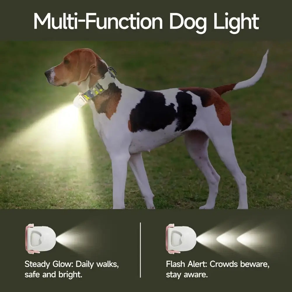 6-in-1 LED Dog Lights: Waterproof, Stylish, and Perfect for Night Walks! 🐾💡 - Zoo Bestie Online Shop