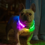 **6-Mode LED Collar: Rechargeable Anti-Lost & Stylish!** 🐾✨ - Dog Collar