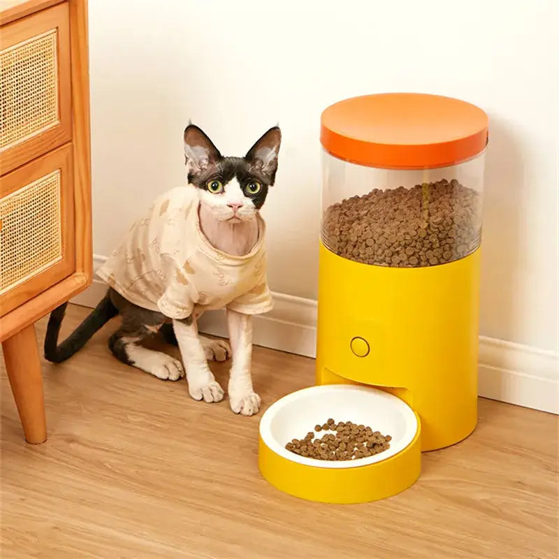 6L Smart Pet Feeder | Automatic Food Dispenser with App Control - Dog automatic feeders