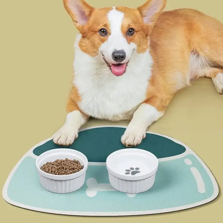 Absorbent Pet Feeding Mat – Quick-Dry No Stains for Cats & Dogs - Pet Feeding Mat