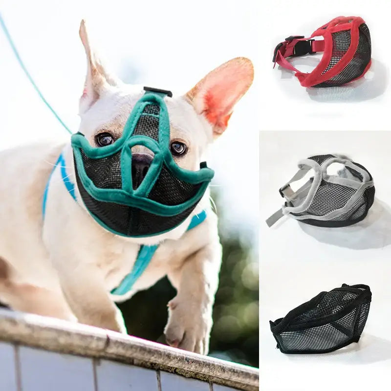 Adjustable Breathable Dog Muzzle for Short-Snout Breeds - Dog Muzzle