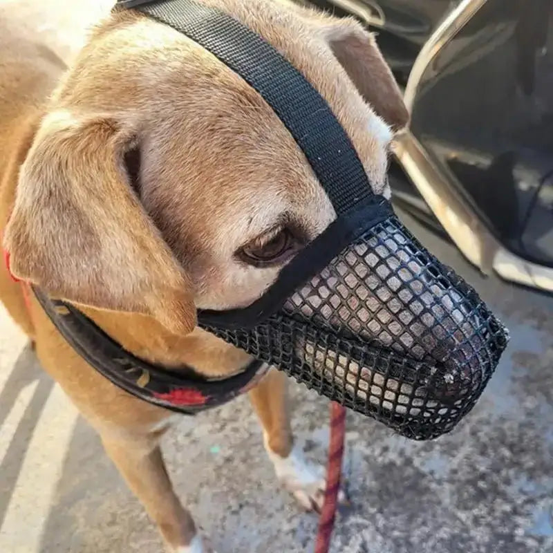 Adjustable Dog Muzzle - Mesh Mask for Barking Biting Chewing - Dog Muzzle