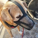 Adjustable Dog Muzzle - Mesh Mask for Barking Biting Chewing - Dog Muzzle