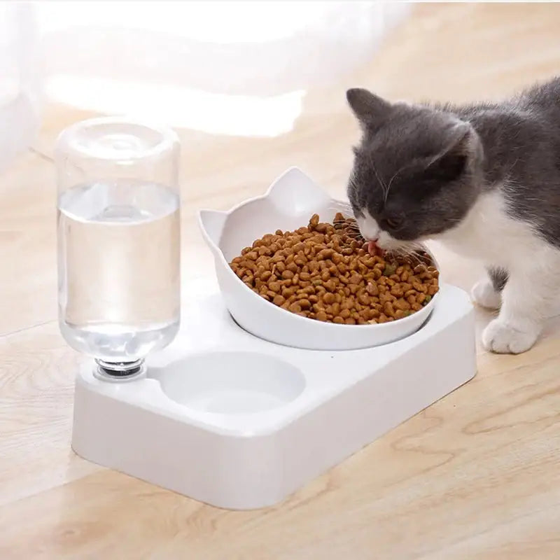 Automatic Pet Feeder & Water Dispenser - Dog & Cat Bowl Feeder - Dog automatic feeders