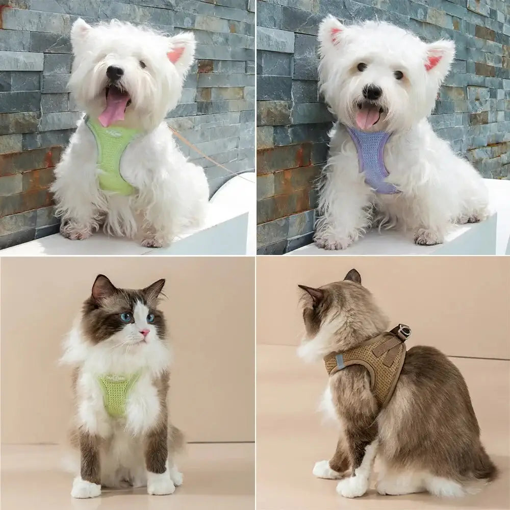 Breathable Pet Harness & Leash - Comfy Stylish for Small Dogs & Cats! 🐾 - Dog Harness