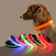 Bright LED Glow Dog Leash & Collar - Safe Stylish Night Ready! - Dog leashes