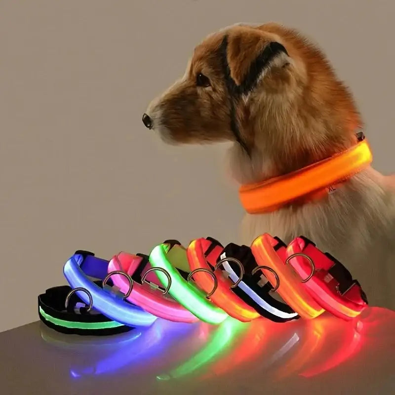 Bright LED Glow Dog Leash & Collar - Safe Stylish Night Ready! - Dog leashes