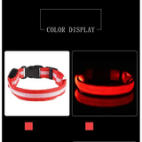 Bright LED Glow Dog Leash & Collar - Safe Stylish Night Ready! - Dog leashes