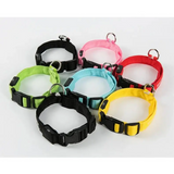 Bright LED Glow Dog Leash & Collar - Safe Stylish Night Ready! - Dog leashes