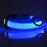 Bright LED Glow Dog Leash & Collar - Safe Stylish Night Ready! - Dog leashes