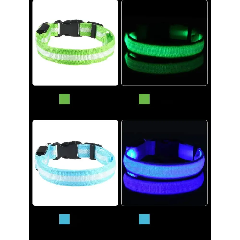 Bright LED Glow Dog Leash & Collar - Safe Stylish Night Ready! - Dog leashes