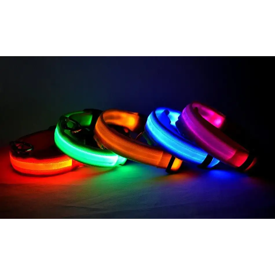 Bright LED Glow Dog Leash & Collar - Safe Stylish Night Ready! - Dog leashes