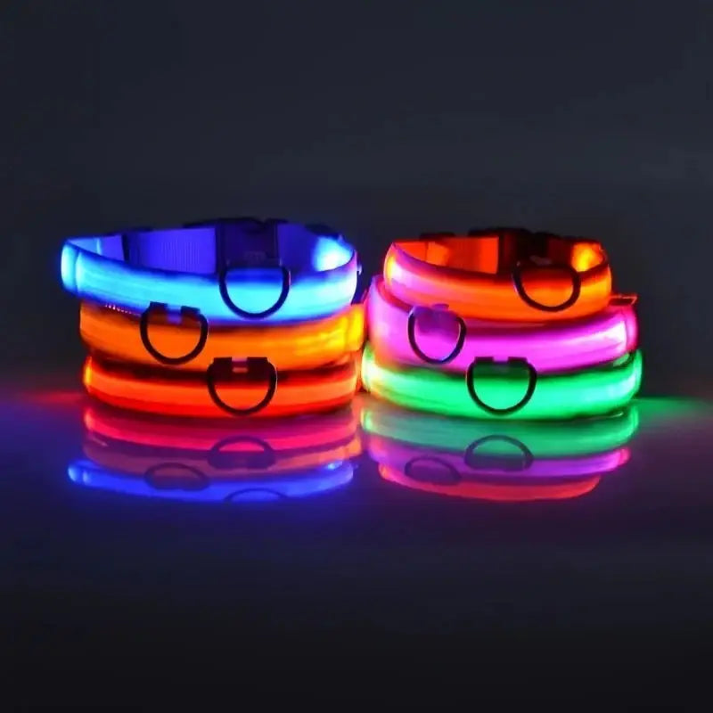 Bright LED Glow Dog Leash & Collar - Safe Stylish Night Ready! - Dog leashes