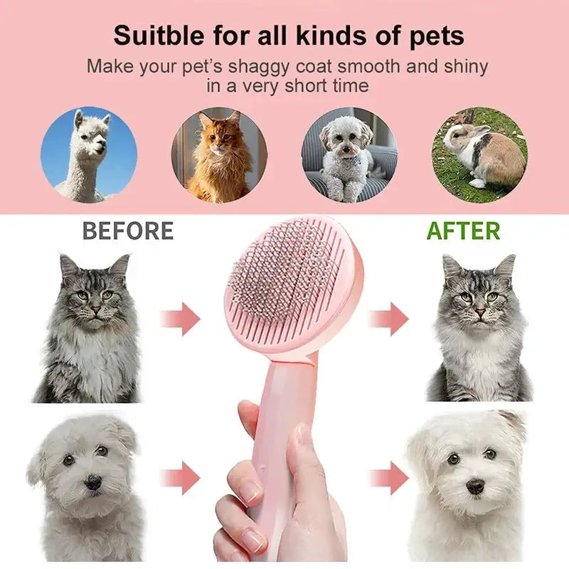 Hair Remover Comb for Cats, Kittens & Puppies. Ideal for Pet Hair Removal - Zoo Bestie Online Shop!