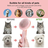 Hair Remover Comb for Cats, Kittens & Puppies. Ideal for Pet Hair Removal - Zoo Bestie Online Shop!