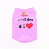 Cool Summer Printed Clothes with Funny Letters for small dogs - Zoo Bestie Online Shop