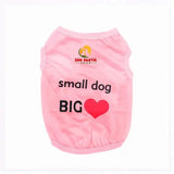 Cool Summer Printed Clothes with Funny Letters for small dogs - Zoo Bestie Online Shop