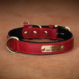 Custom Engraved PU Dog Collar - Stylish Durable Personalized ID! 🐾 - Dog Collar