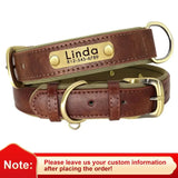 Custom Leather Dog Collar | Free Engraving for All Sizes 🐾 - Zoo Bestie Online Shop