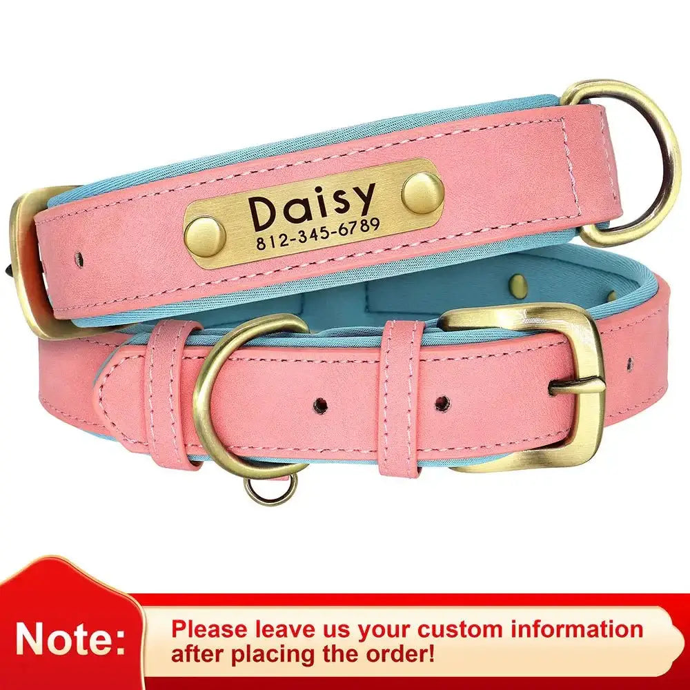 Custom Leather Dog Collar | Free Engraving for All Sizes 🐾 - Zoo Bestie Online Shop