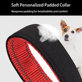 Custom Reflective Dog Collar - Personalized ID Safe & Padded! 🐾 - Dog Collar