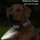 Custom Reflective Dog Collar - Personalized ID Safe & Padded! 🐾 - Dog Collar