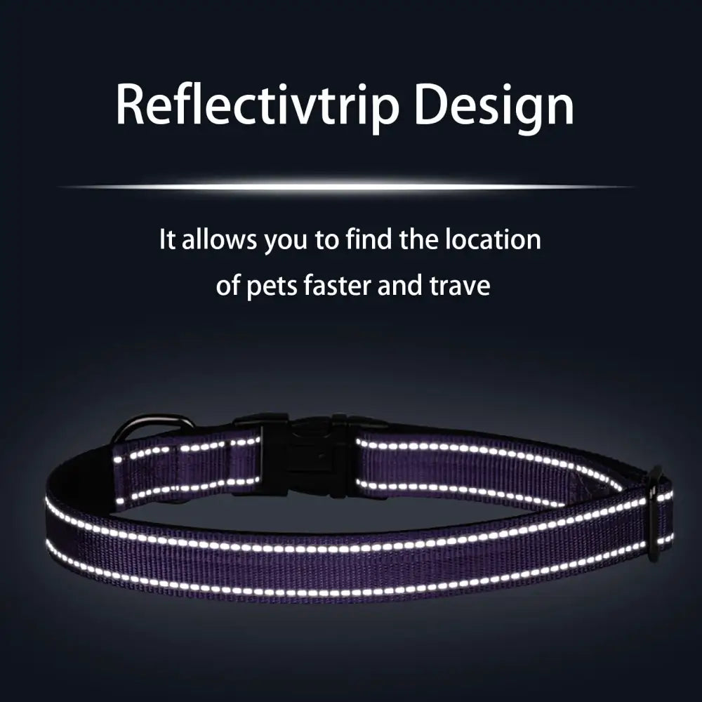 Custom Reflective Dog Collar - Personalized ID Safe & Padded! 🐾 - Dog Collar