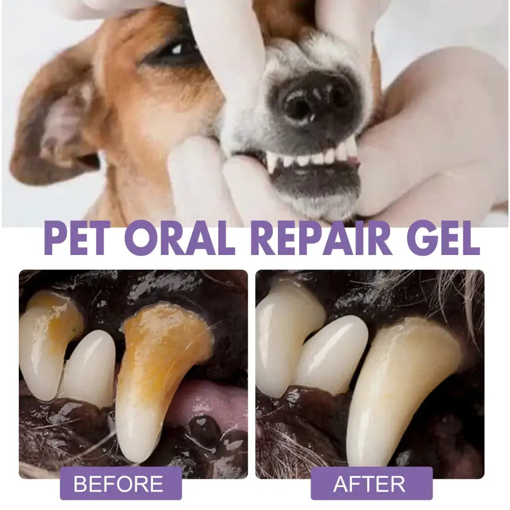 Dog Oral Cleaning Gel Tooth Stain Cleaner Remove Dental Stakes Tartar Plaque Eliminator Fresh Breath Pets Tooth