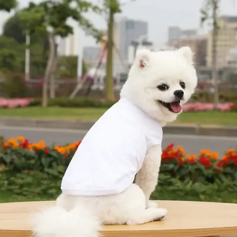 Dog Shirt Pure Cotton Solid Color Blank Bottoming Puppy Shirt Soft Leisure Cat Vest puppy Chihuahua Summer Vests Big