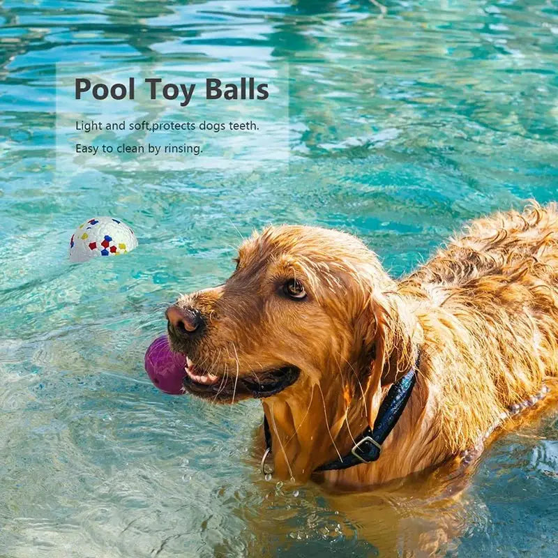 Durable High-Elastic Dog Chew Ball – Perfect for All Sizes - Interactive Toy