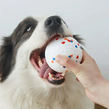 Durable High-Elastic Dog Chew Ball – Perfect for All Sizes - Interactive Toy