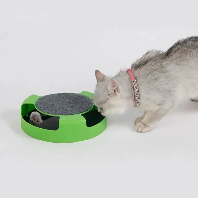 Interactive Cat Track Toy – Automatic Mouse & Teasing Stick - Interactive Toy