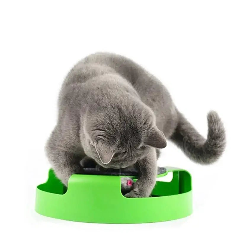 Interactive Cat Track Toy – Automatic Mouse & Teasing Stick - Interactive Toy