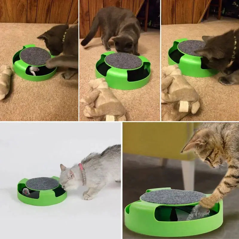 Interactive Cat Track Toy – Automatic Mouse & Teasing Stick - Interactive Toy