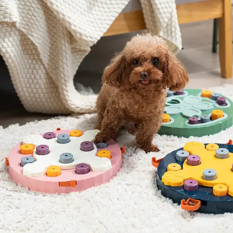 Interactive Dog Puzzle Slow Feeder – IQ Training & Food Fun - Interactive Toy