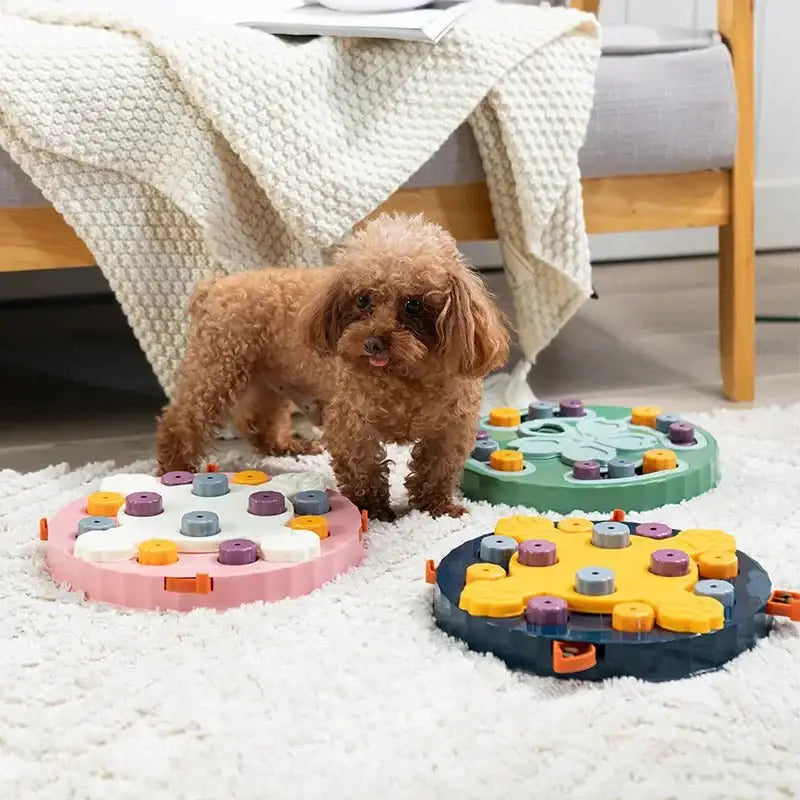 Interactive Dog Puzzle Slow Feeder – IQ Training & Food Fun - Interactive Toy