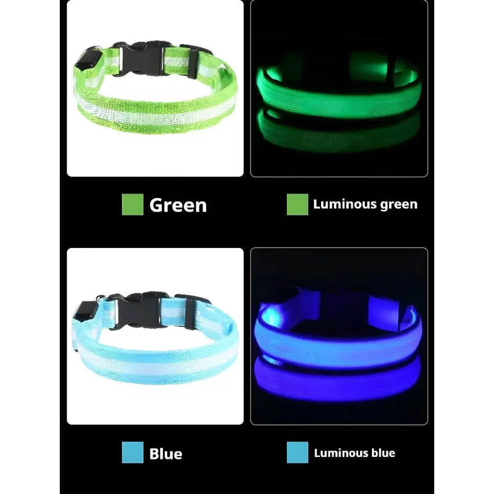 LED Glow Dog Collar & Leash - Night Safety Stylish & Bright! 🌟🐾 - Dog leashes