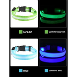 LED Glow Dog Collar & Leash - Night Safety Stylish & Bright! 🌟🐾 - Dog leashes