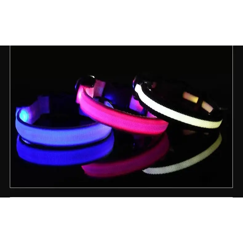 LED Glow Dog Collar & Leash - Night Safety Stylish & Bright! 🌟🐾 - Dog leashes