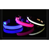 LED Glow Dog Collar & Leash - Night Safety Stylish & Bright! 🌟🐾 - Dog leashes