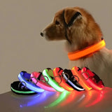 LED Glow Dog Collar & Leash - Night Safety Stylish & Bright! 🌟🐾 - Dog leashes