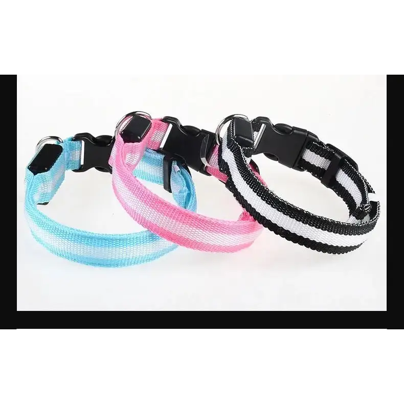 LED Glow Dog Collar & Leash - Night Safety Stylish & Bright! 🌟🐾 - Dog leashes