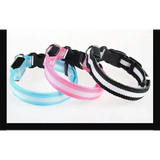 LED Glow Dog Collar & Leash - Night Safety Stylish & Bright! 🌟🐾 - Dog leashes